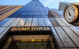 Được cam kết thuê lại tới 30 triệu đồng/tháng: Căn hộ Sunshine Center có gì đặc biệt?