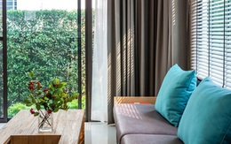 Không phải Đức, Pháp hay Singapore, doanh nhân trẻ chọn Hà Nội để tìm “Vườn trong phố”