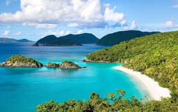 Căn hộ dịch vụ khách sạn – xu hướng đầu tư đầy tiềm năng