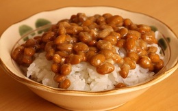 Hợp tác quốc tế trong phòng ngừa tai biến đột quỵ