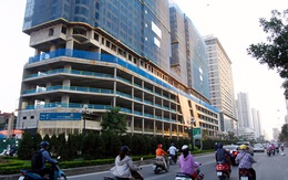 The Golden Palm: Ưu đãi hấp dẫn, lợi ích nhân đôi