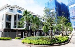 HaDo Centrosa Garden sắp cất nóc Block Orchid vượt tiến độ 3 tháng