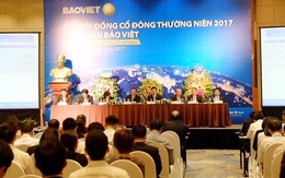 Bảo Việt (BVH): Chi trả 7.500 tỷ đồng cổ tức bằng tiền mặt kể từ khi cổ phần hóa