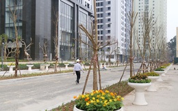 Có gì ở dự án bàn giao sớm nhất khu vực Tây Hà Nội?