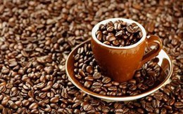 CTP thông báo chi trả cổ tức năm 2016