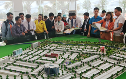 Mega City có gì hấp dẫn?