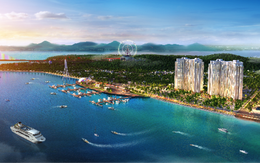DOJILAND- Chủ đầu tư The Sapphire Residence bên Vịnh Hạ Long
