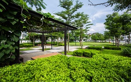 Iris Homes: Dinh thự xanh giữa lòng Hà Nội