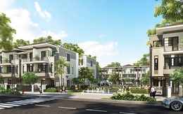 Phân khúc biệt thự - nhà phố đang có mãi lực tốt trên thị trường