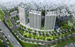 Căn hộ Little Family sản phẩm mới đầy tính cạnh tranh