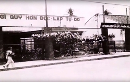 OPC - hành trình 40 năm nâng tầm thuốc Việt