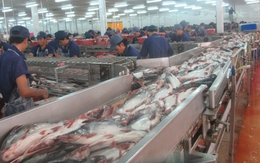 Công ty cổ phần Nam Việt:  9 tháng lãi ròng gấp 8 lần so với cùng kỳ