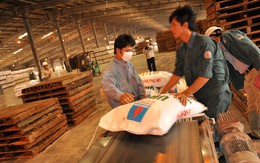 Nhà máy Đạm Phú Mỹ “về đích” trước 2 tháng so với kế hoạch năm 2017