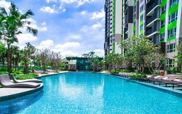 Sống ở nhà phố hay chung cư cao cấp?