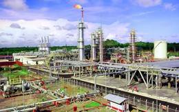 Doanh nghiệp Dầu khí  PVN và PV GAS nằm trong Top 100 của Profit500