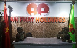 An Phát Holdings đăng ký mua gần 3% cổ phần HII