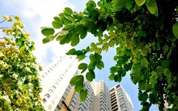 Công trình xanh - Lời giải cho việc giảm hiệu ứng đảo nhiệt đô thị