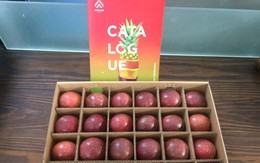 Nafoods Group xuất khẩu trực tiếp Sản phẩm quả chanh leo tươi sang thị trường Châu Âu