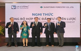 Gỗ An Cường hợp tác chiến lược với Tập đoàn Sumitomo Forestry Nhật Bản