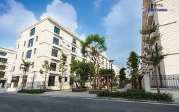 Cấp tập mua nhà đón Tết