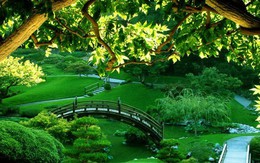 Những lợi thế khi sống gần công viên