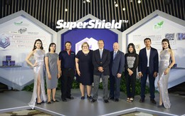 Nhiều tiềm năng để thị trường sơn trang trí phát triển