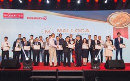 Malloca vào Top 100 sản phẩm Tin và Dùng Việt Nam 2017