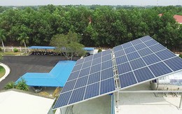 Doanh nghiệp dùng điện mặt trời giảm đến 100% tiền điện