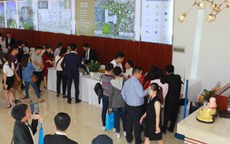 Hơn 700 khách hàng “đổ bộ” nhà mẫu Sunshine Avenue ngay ngày khai trương