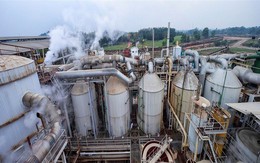 Luật Sử dụng năng lượng tiết kiệm và hiệu quả – Góc nhìn từ thực tiễn