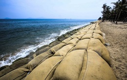 Phó Thủ tướng yêu cầu Bộ Công an khẩn trương điều tra vụ dùng cát lậu lấn biển