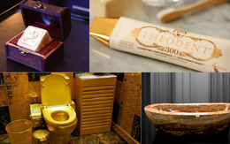 Từ toilet vàng đến bàn chải titan nghìn đô – Đây là 7 vật dụng nhà tắm đắt đỏ đến nỗi chỉ giới siêu giàu mới dám mơ