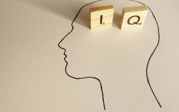 Lịch sử của chỉ số IQ, và tại sao việc áp dụng những bài kiểm tra IQ vẫn còn gây tranh cãi