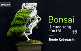"Bậc thầy bonsai" Nhật và bí mật của vườn cảnh trăm tuổi được "đại gia" thế giới ước thèm