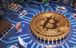 Bitcoin giảm 2.000 USD và mất 1/4 giá trị, phần thắng thuộc về ai trong trận chiến bitcoin vs bitcoin cash?