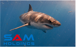 SAM Holdings – cá mập tiềm lực mạnh nhất trong chương trình Shark Tank nhưng có kết quả kinh doanh khá “yếu ớt”