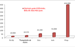 Giá 1 ô tô nhập từ Pháp tương đương 40 xe nhập từ Ấn Độ