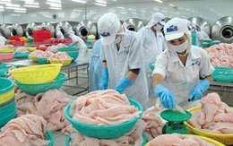 Không chỉ xuất khẩu mà nhập khẩu thủy sản vào Việt Nam cũng tăng mạnh