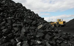 Than đá và quặng khoáng sản dẫn đầu mức tăng trưởng xuất khẩu