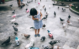 Những người Sài Gòn "khùng" nuôi chim trời thú hoang