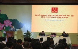 ĐHCĐ HSG: Năm 2017 sẽ không huy động một đồng vốn nào đầu tư cho nhiều dự án lớn