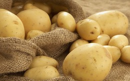 Nhập khẩu khoai tây Pháp vào Việt Nam, liệu có "làm khó" nông dân trong nước?