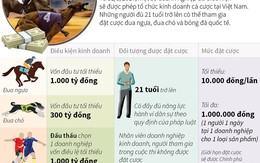 [Infographics] Chính thức cho phép tổ chức kinh doanh cá cược