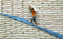 Bộ Công Thương khẳng định: "xin giấy phép xuất khẩu gạo 20.000 USD là bịa đặt"