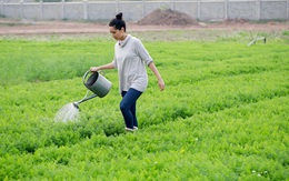 Tâm thư từ "gan ruột" của Đào Chi Anh: Làm doanh nhân khổ quá, vì cái tôi và lòng tự kiêu mà chẳng ai dám nói ra những sự thật đau lòng này!