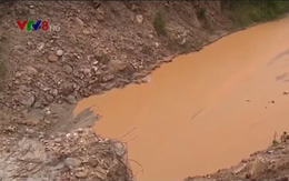 Quảng Nam yêu cầu đóng cửa mỏ vàng Bồng Miêu