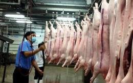 Đồng Nai muốn bán thịt heo giá 40.000 đồng ở TP.HCM