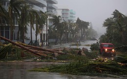 Bộ đôi siêu bão đắt đỏ Irma và Harvey có thể làm Mỹ thiệt hại tới 290 tỷ USD