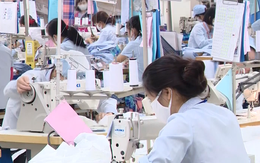 Vì sao năng suất lao động của Việt Nam thấp?