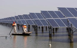 Trang trại năng lượng mặt trời lớn nhất thế giới và quyết tâm chuyển mình của Bắc Kinh